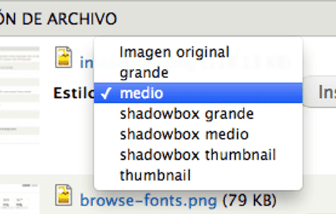 Integración de módulos Insert y Shadowbox para Drupal 7