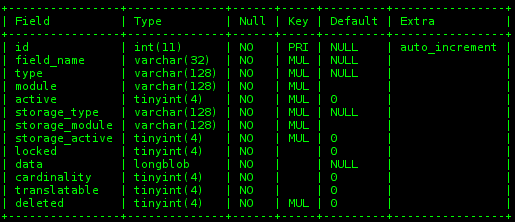 4 table describe field config