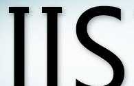 Como establecer un Virtual Directory en el IIS Express